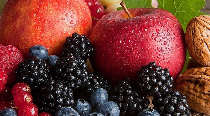 Топ-5 садовых культур, которых больше всего заложили за государственные гранты