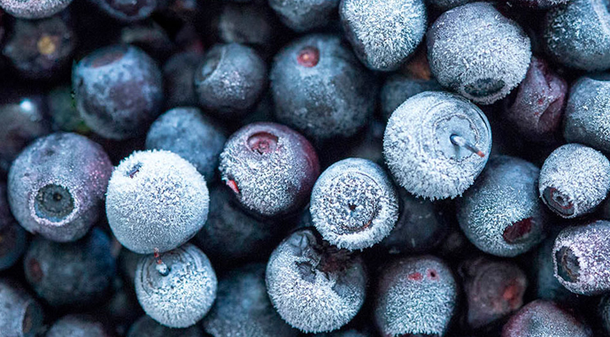 Канадська лохина посунула українську на ринку Польщі