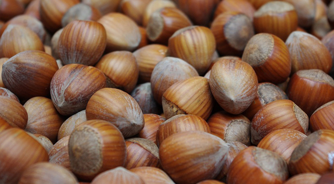 Україна може відмовитися від імпорту фундука протягом 5 років