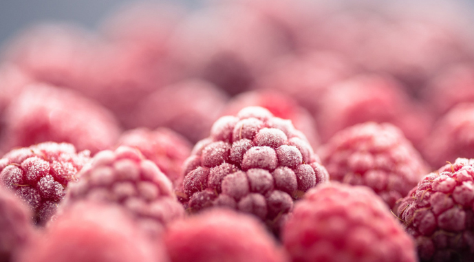 Україна скоротила експорт малини: ягоду рекордними темпами скуповує Польща