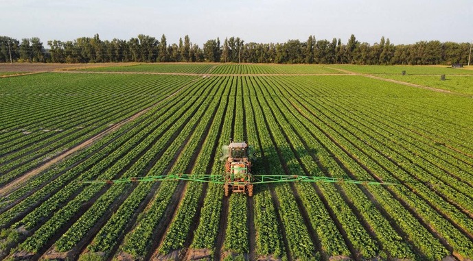 Овочівництво потребує на старті значно більше інвестицій, ніж зерновий бізнес
