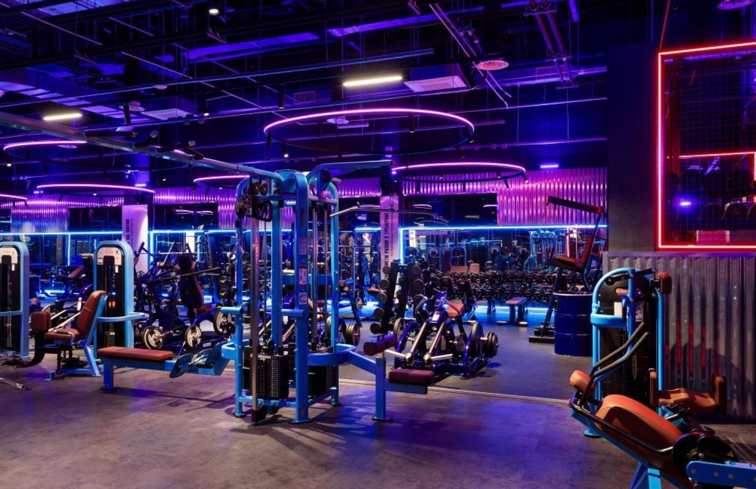 Понад 1 млрд грн доходу і 320 млн грн збитку: як працюють три компанії під брендом Sport Life