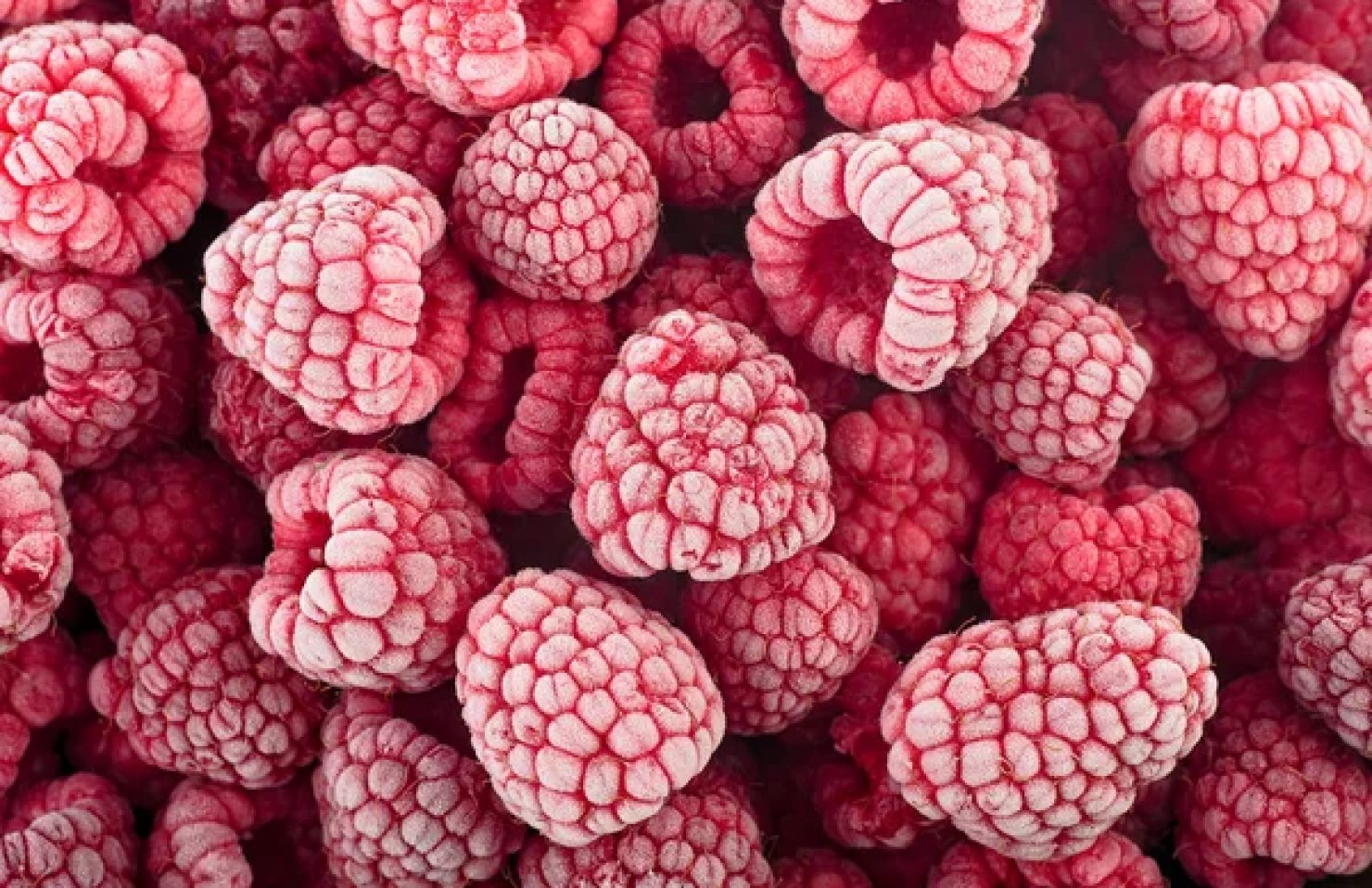 Випередили Польщу: Україна зайняла перше місце в Європі за експортом малини