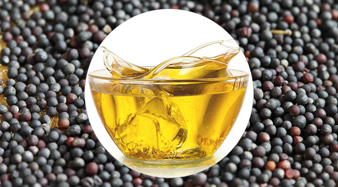 Україна збільшила виторг від експорту ріпакової олії майже втричі