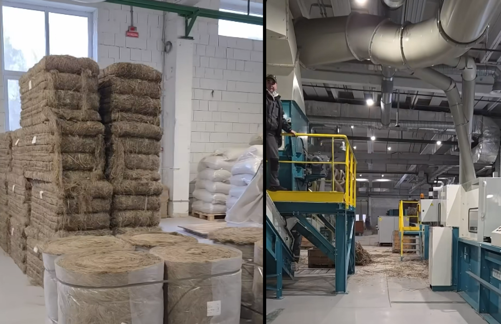 Найбільший в Україні завод відновив переробку промислових конопель