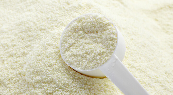 Алжир — перспективний напрямок для експорту українського сухого молока