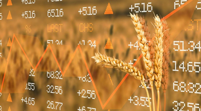 Експорт пшениці з України перевищив 10 млн т