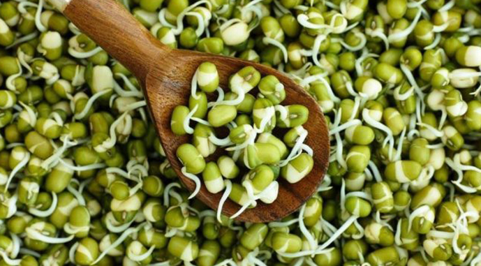 Крафтові продукти займають до 15% ринку бобових