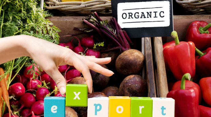 Україна стабільно нарощує експорт органічної продукції