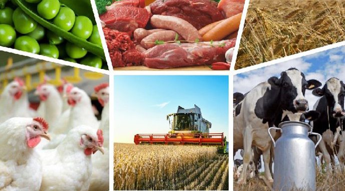 Виробництво агропродукції в Україні торік скоротилось на 3,1%