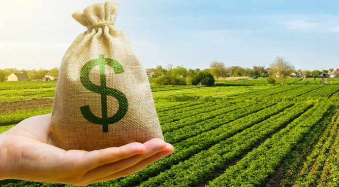 Земля в Україні подешевшала, площі продажів зросли