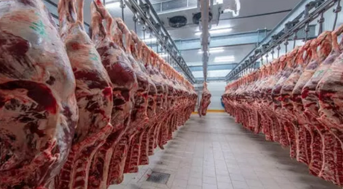 USDA: Україна скоротить виробництво яловичини на 20%